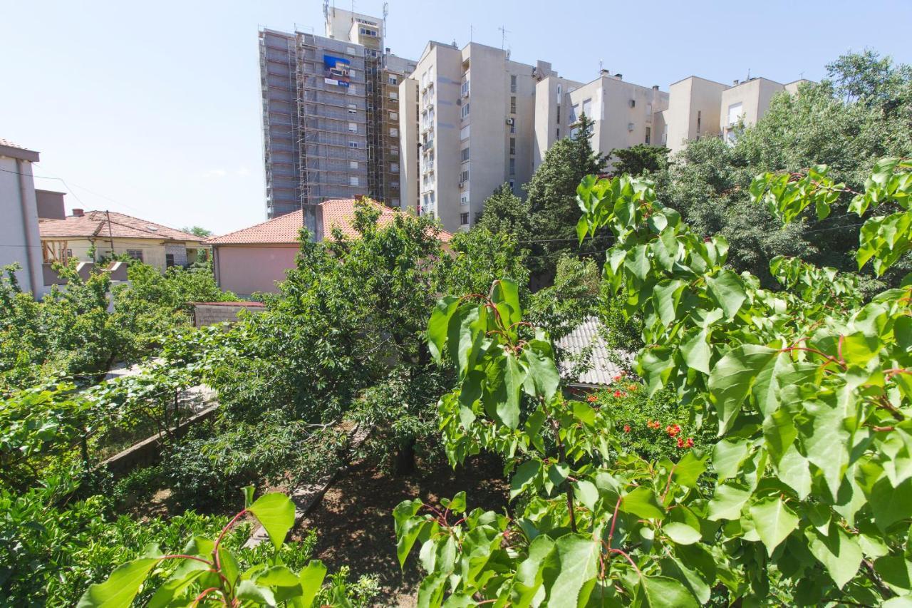 Apartman Andrijana Zadar Bagian luar foto